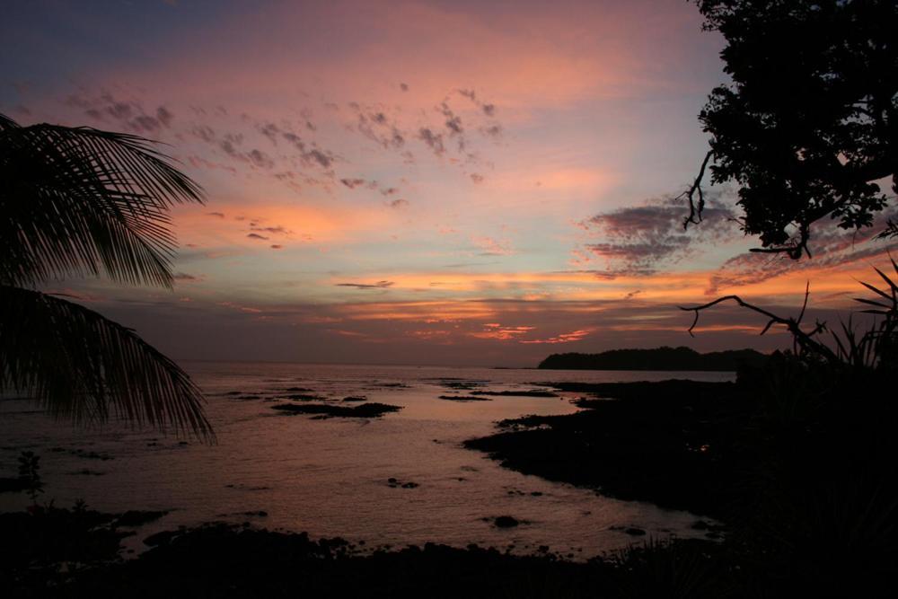 Oceanfront Bungalows - Paradise Rentals Santa Catalina Ngoại thất bức ảnh